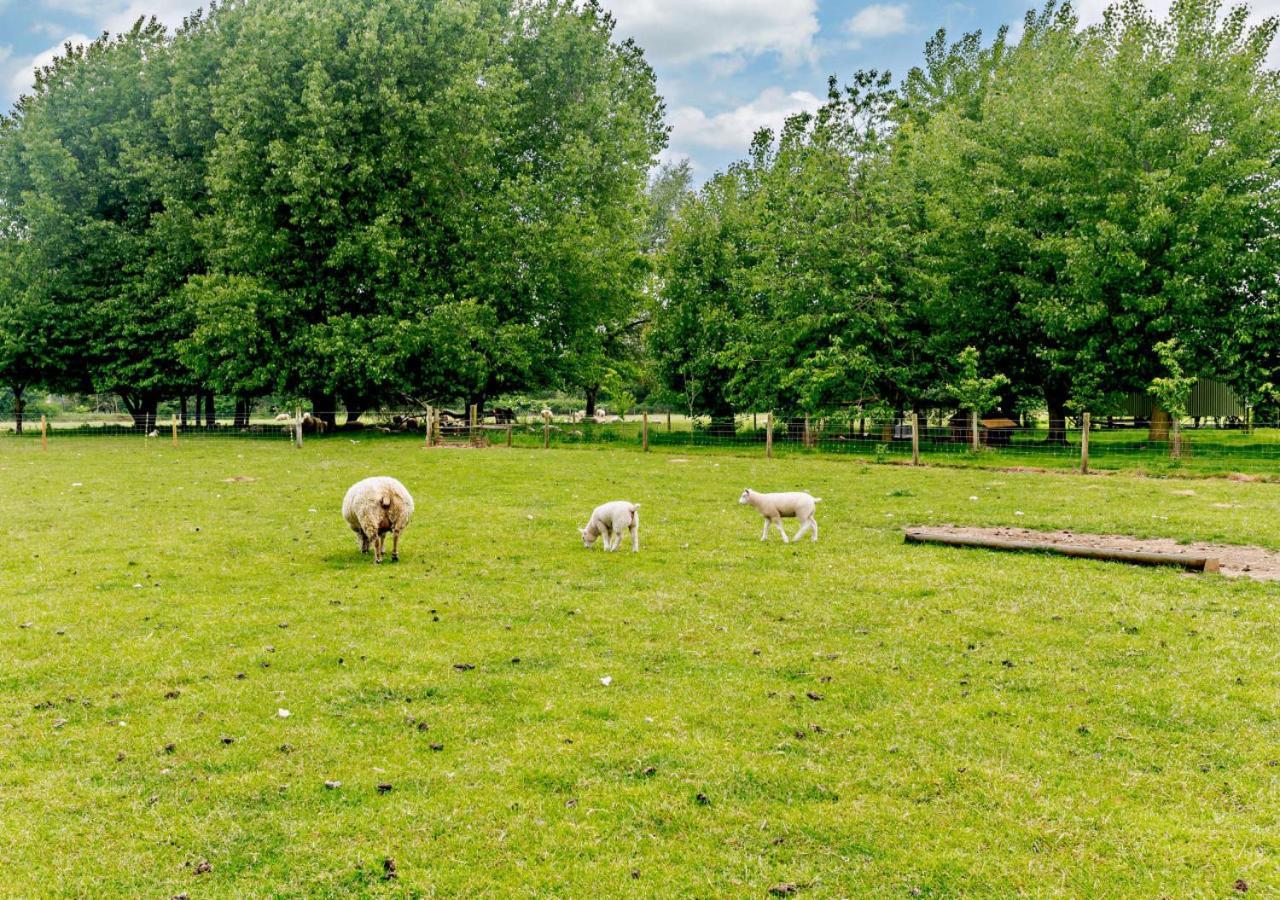 Roosters Rest Villa Beccles Kültér fotó